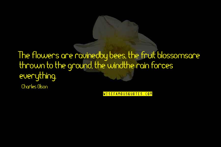 Devnilta Quotes By Charles Olson: The flowers are ravinedby bees, the fruit blossomsare