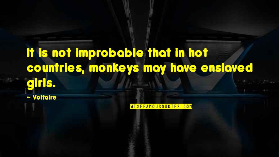 Devolver Animation Quotes By Voltaire: It is not improbable that in hot countries,