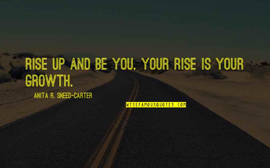 Devotional Quotes By Anita R. Sneed-Carter: Rise up and be you. Your rise is