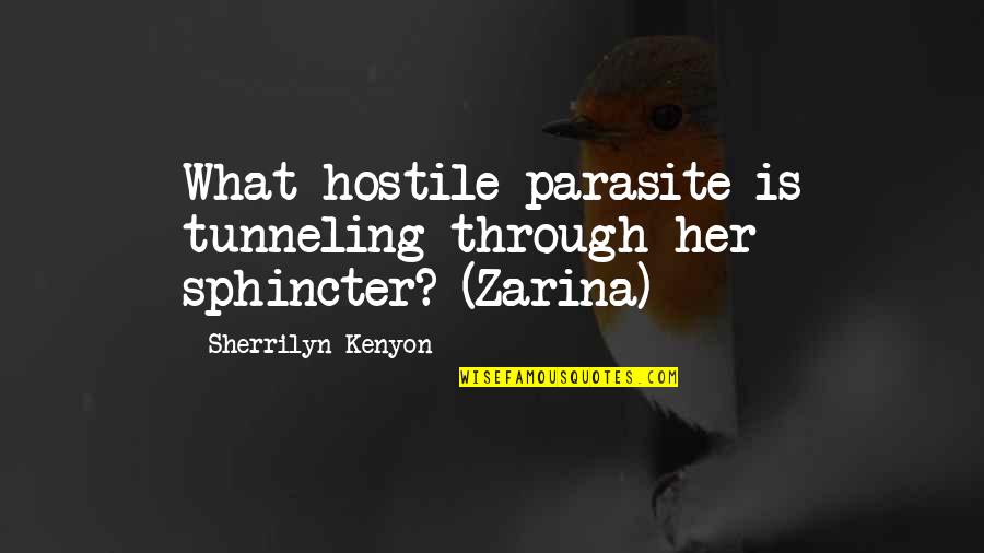 Devoucoux Quotes By Sherrilyn Kenyon: What hostile parasite is tunneling through her sphincter?