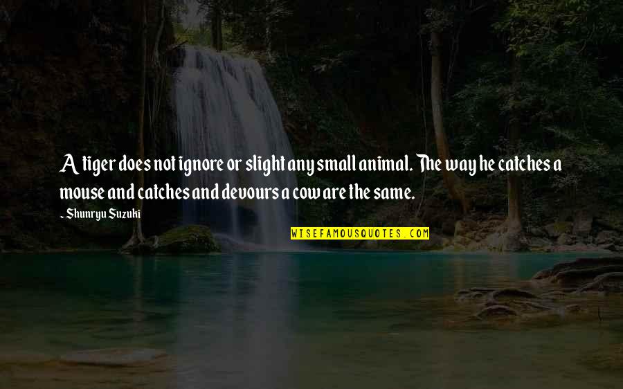 Devours Quotes By Shunryu Suzuki: A tiger does not ignore or slight any