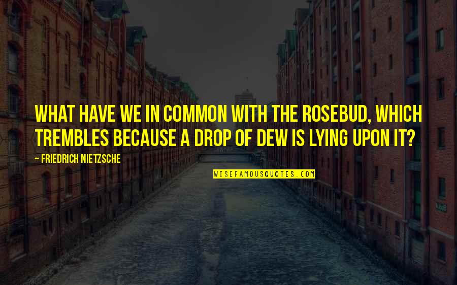 Dew Drop Quotes By Friedrich Nietzsche: What have we in common with the rosebud,