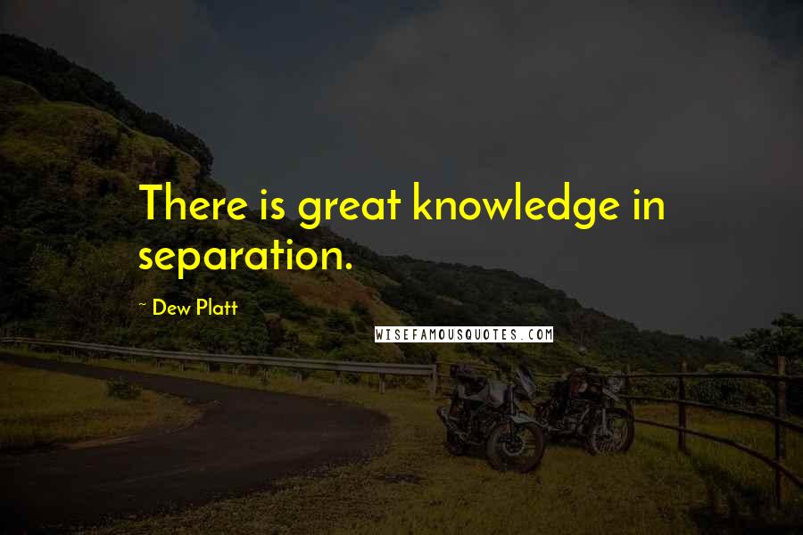 Dew Platt quotes: There is great knowledge in separation.