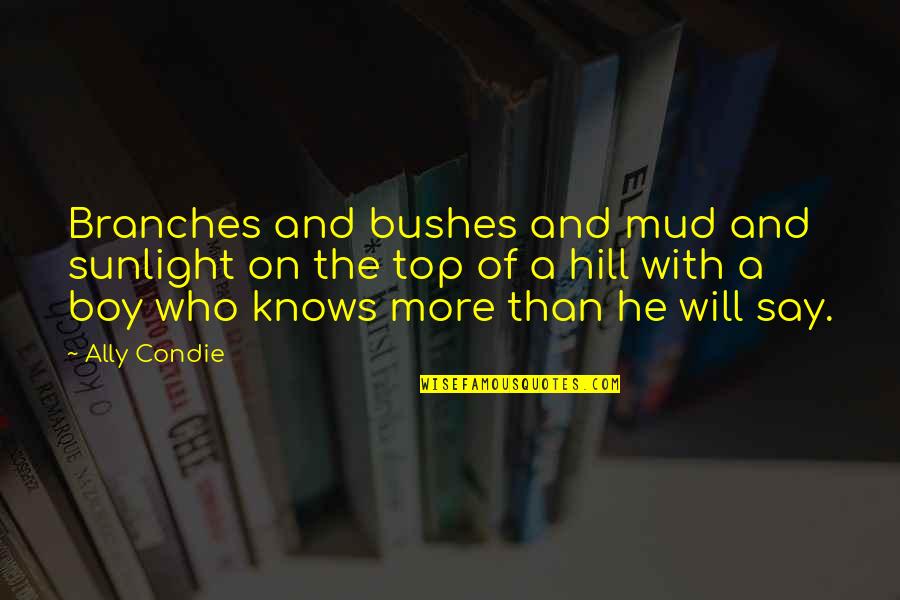Dewarren Hutcherson Quotes By Ally Condie: Branches and bushes and mud and sunlight on