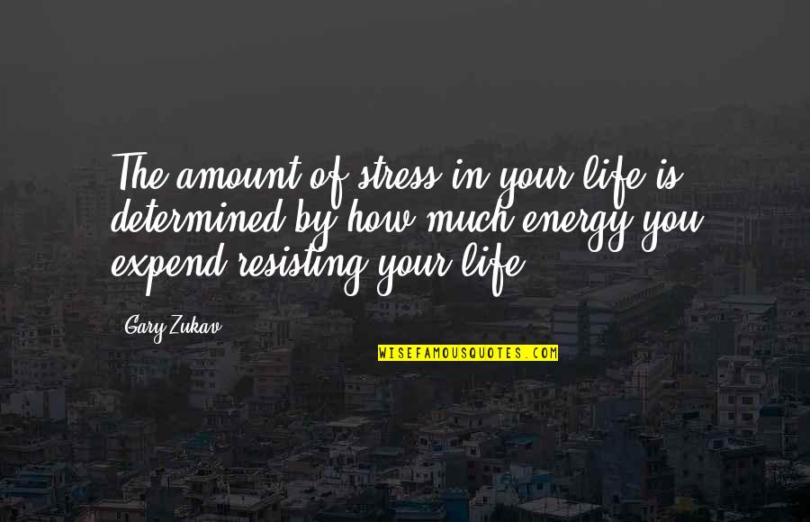 Dewey Oxburger Stripes Quotes By Gary Zukav: The amount of stress in your life is Dewey Oxburger Stripes Quotes By Gary Zukav: The amount of stress in your life is