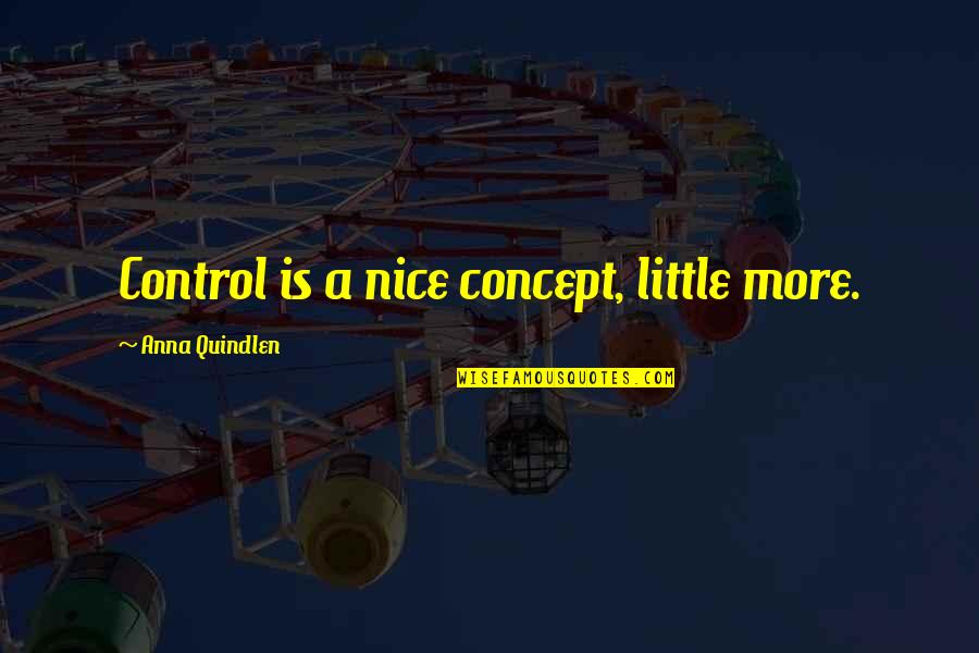 Dewild Twins Quotes By Anna Quindlen: Control is a nice concept, little more.