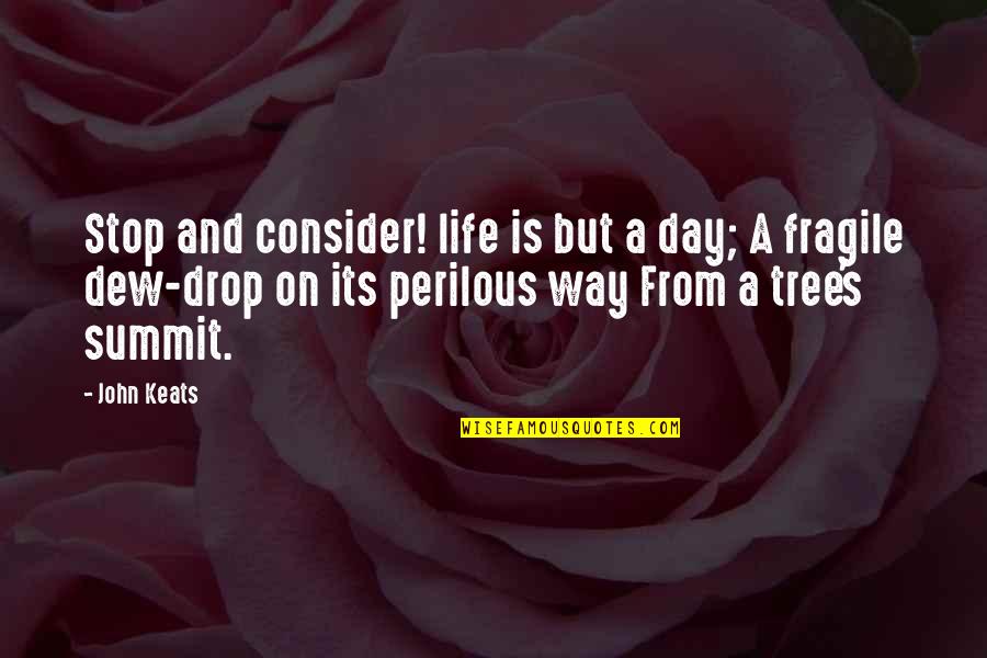 Dew's Quotes By John Keats: Stop and consider! life is but a day;