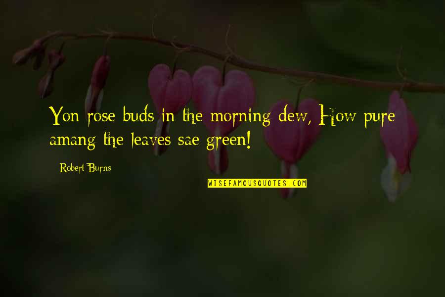 Dew's Quotes By Robert Burns: Yon rose-buds in the morning-dew, How pure amang