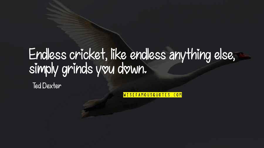 Dexter's Quotes By Ted Dexter: Endless cricket, like endless anything else, simply grinds