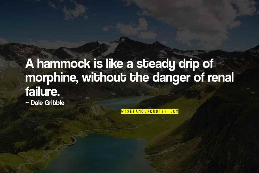 Dextrose Powder Quotes By Dale Gribble: A hammock is like a steady drip of