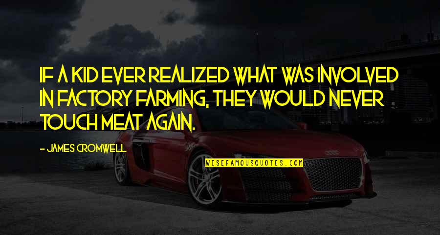 Deyanira Rodriguez Quotes By James Cromwell: If a kid ever realized what was involved Deyanira Rodriguez Quotes By James Cromwell: If a kid ever realized what was involved