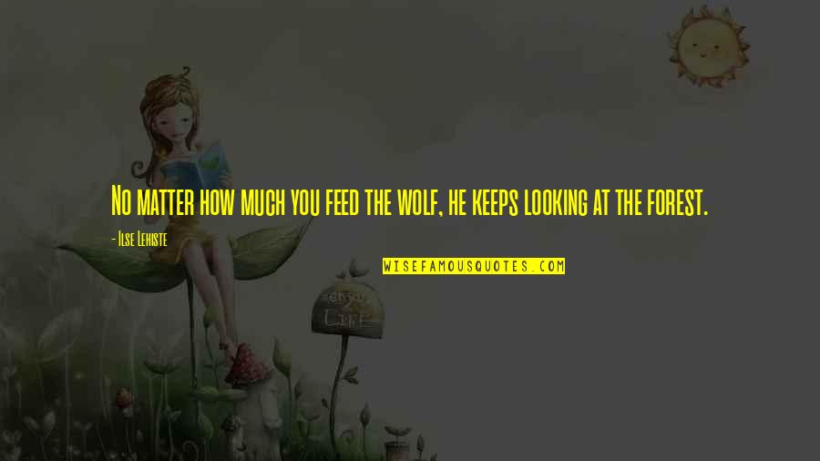 Deyerle Roanoke Quotes By Ilse Lehiste: No matter how much you feed the wolf,
