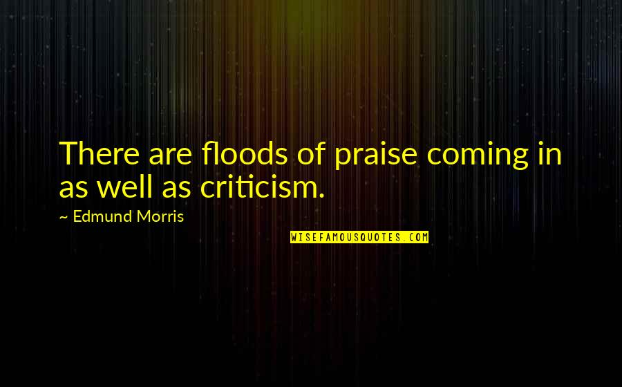 Deznadejde Sinonim Quotes By Edmund Morris: There are floods of praise coming in as