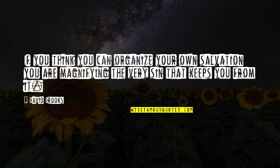 Dezoito Anos Quotes By David Brooks: If you think you can organize your own