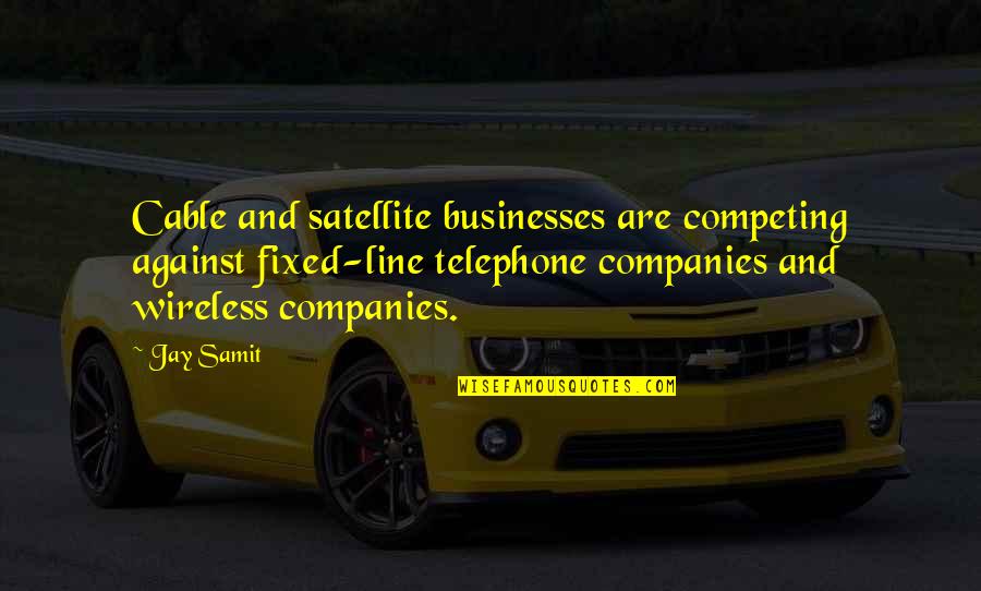 Dhaenens Lammens Quotes By Jay Samit: Cable and satellite businesses are competing against fixed-line