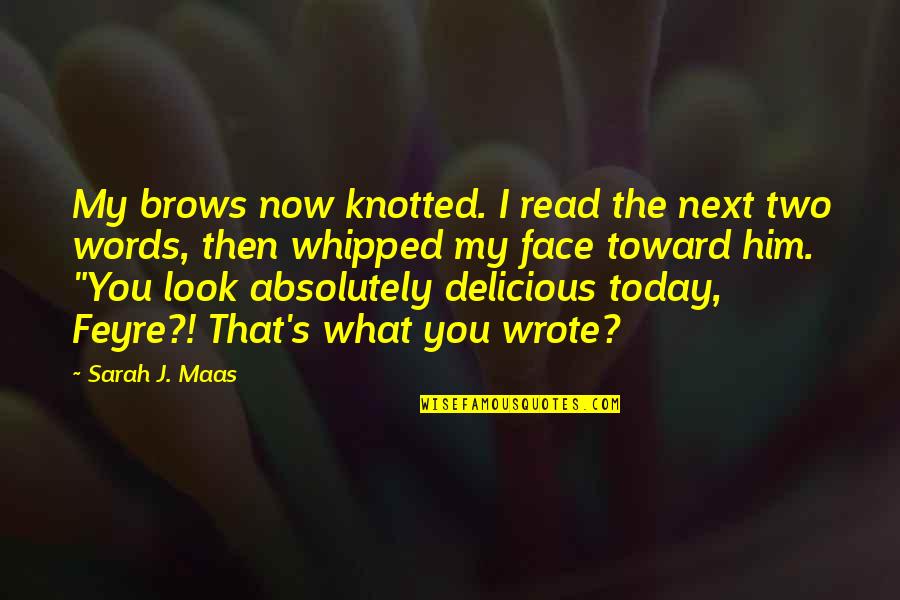 Dhaffer L Quotes By Sarah J. Maas: My brows now knotted. I read the next