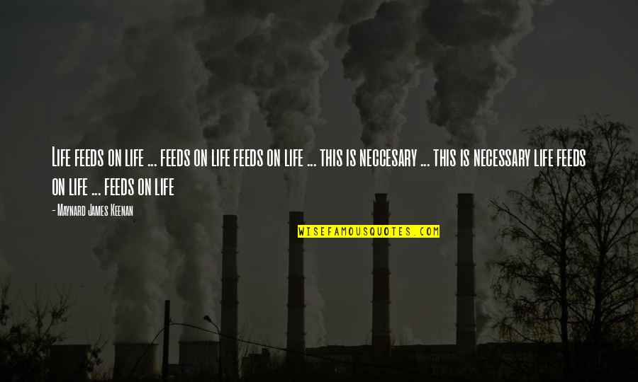 Dhanlaxmi Corporate Quotes By Maynard James Keenan: Life feeds on life ... feeds on life Dhanlaxmi Corporate Quotes By Maynard James Keenan: Life feeds on life ... feeds on life