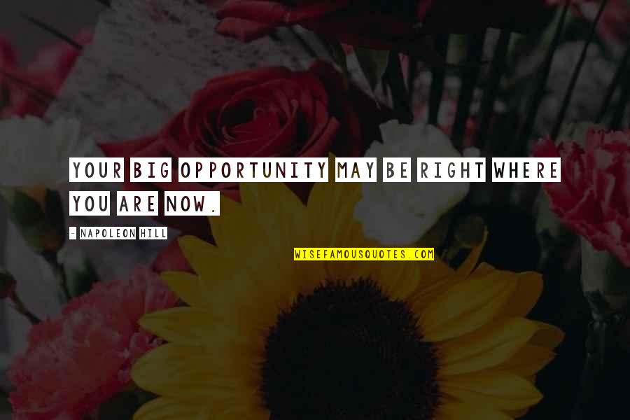 Dhanyawaad Quotes By Napoleon Hill: Your big opportunity may be right where you