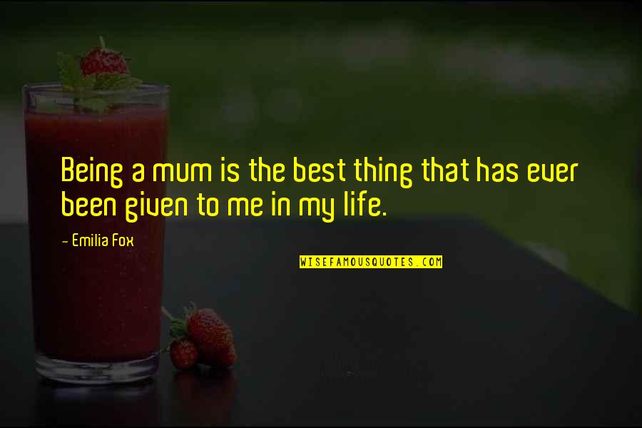 Dharana And Dhyana Quotes By Emilia Fox: Being a mum is the best thing that