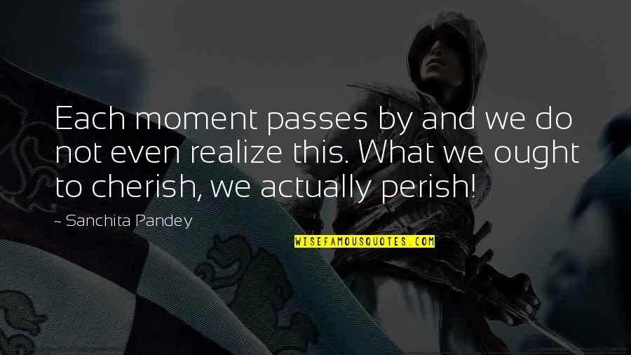 Dharmesh Shah Quotes By Sanchita Pandey: Each moment passes by and we do not