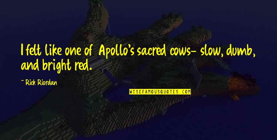 Dhemballa Quotes By Rick Riordan: I felt like one of Apollo's sacred cows-