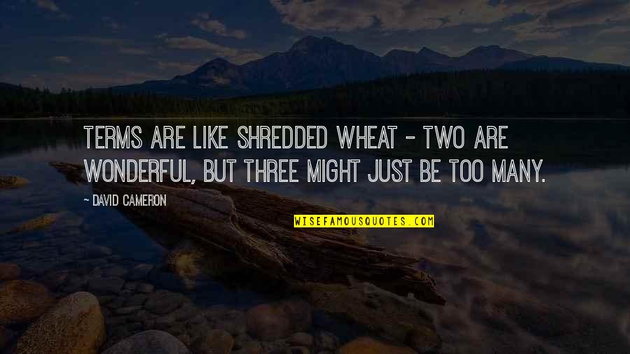 Di Ka Maganda Quotes By David Cameron: Terms are like shredded wheat - two are