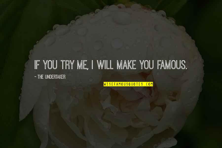 Di Ketinggian Kabinet Quotes By The Undertaker: If you try me, I will make you