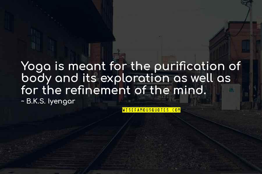 Dia Del Amor Quotes By B.K.S. Iyengar: Yoga is meant for the purification of body