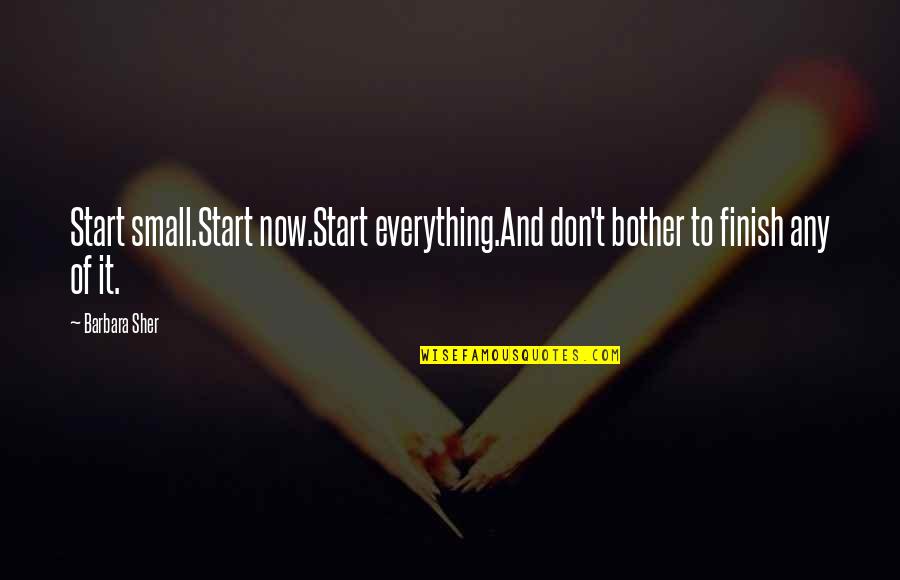 Dia Lama Quotes By Barbara Sher: Start small.Start now.Start everything.And don't bother to finish