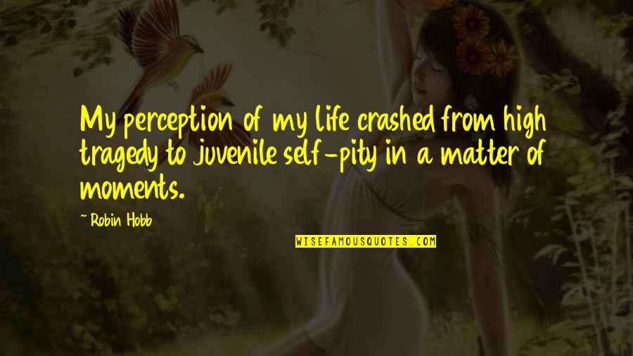Diabetes Type 1 Quotes By Robin Hobb: My perception of my life crashed from high