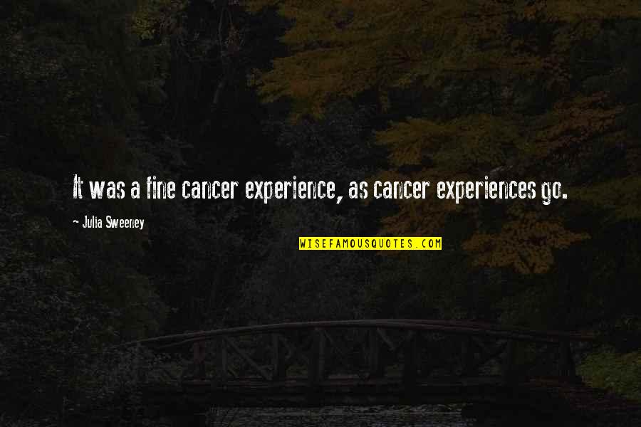 Diablesas Quotes By Julia Sweeney: It was a fine cancer experience, as cancer Diablesas Quotes By Julia Sweeney: It was a fine cancer experience, as cancer