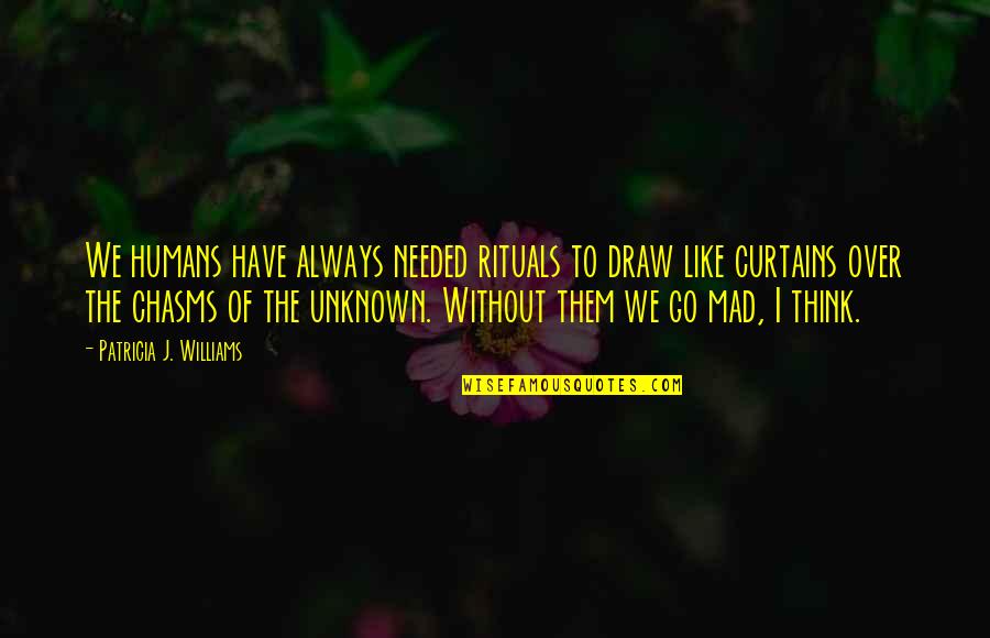 Diablos Las Vegas Quotes By Patricia J. Williams: We humans have always needed rituals to draw