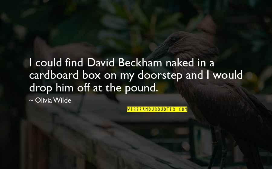 Diachronic Approach Quotes By Olivia Wilde: I could find David Beckham naked in a Diachronic Approach Quotes By Olivia Wilde: I could find David Beckham naked in a