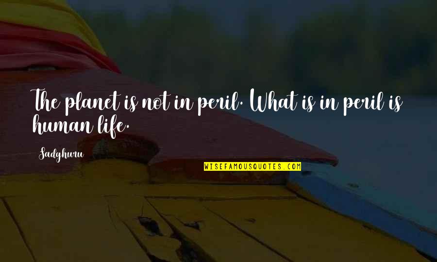Diaconu Cristian Quotes By Sadghuru: The planet is not in peril. What is
