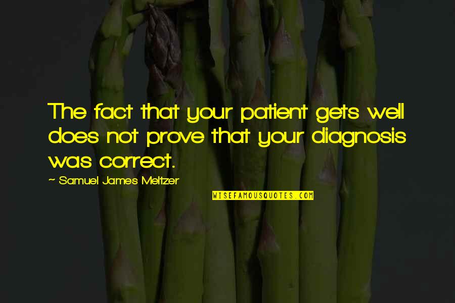 Diagnosis Quotes By Samuel James Meltzer: The fact that your patient gets well does