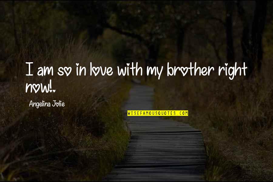 Diagnostic Assessment Quotes By Angelina Jolie: I am so in love with my brother