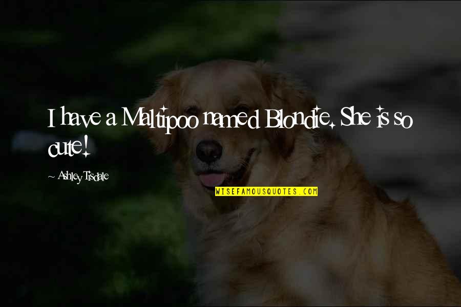 Diagnostic Quotes By Ashley Tisdale: I have a Maltipoo named Blondie. She is Diagnostic Quotes By Ashley Tisdale: I have a Maltipoo named Blondie. She is