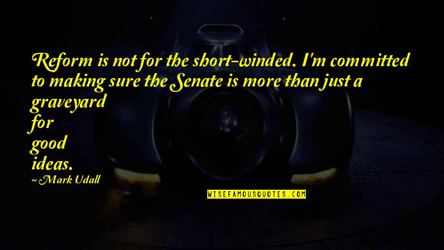 Diagonally Quotes By Mark Udall: Reform is not for the short-winded. I'm committed