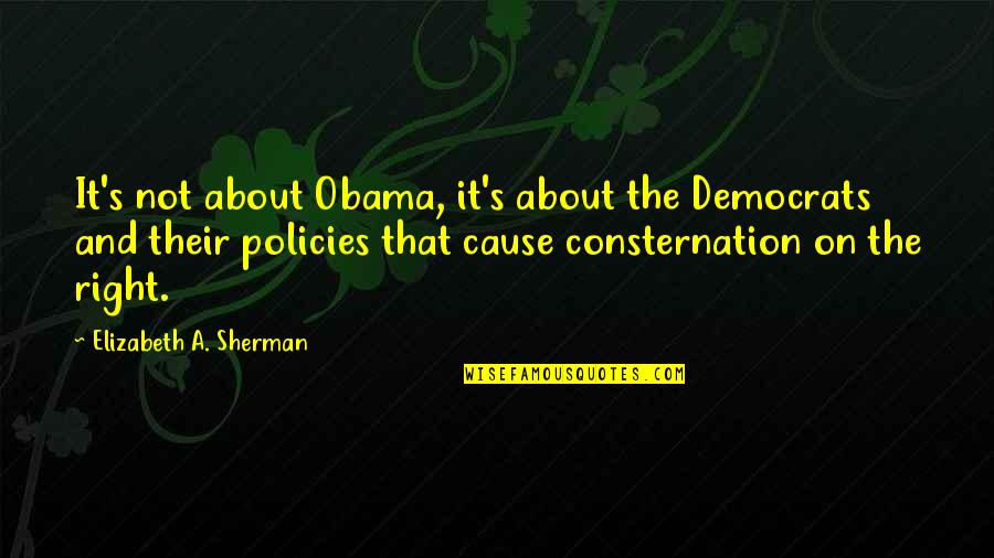 Diahann Carroll Quotes By Elizabeth A. Sherman: It's not about Obama, it's about the Democrats