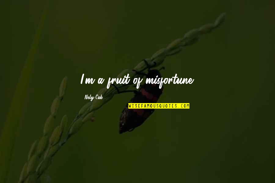 Diamond Dallas Page Quotes By Nely Cab: I'm a fruit of misfortune. Diamond Dallas Page Quotes By Nely Cab: I'm a fruit of misfortune.