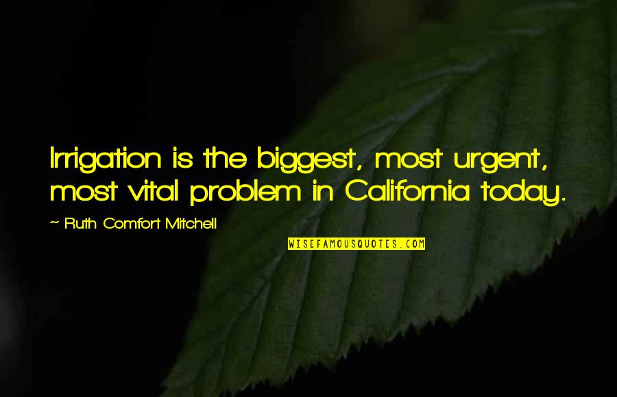 Diamonds And Sisters Quotes By Ruth Comfort Mitchell: Irrigation is the biggest, most urgent, most vital Diamonds And Sisters Quotes By Ruth Comfort Mitchell: Irrigation is the biggest, most urgent, most vital
