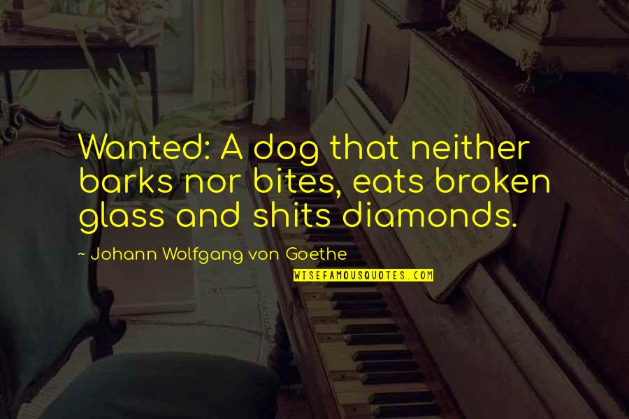 Diamonds Quotes By Johann Wolfgang Von Goethe: Wanted: A dog that neither barks nor bites,