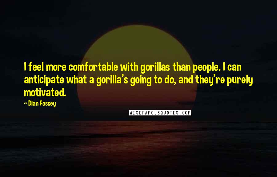 Dian Fossey quotes: I feel more comfortable with gorillas than people. I can anticipate what a gorilla's going to do, and they're purely motivated.