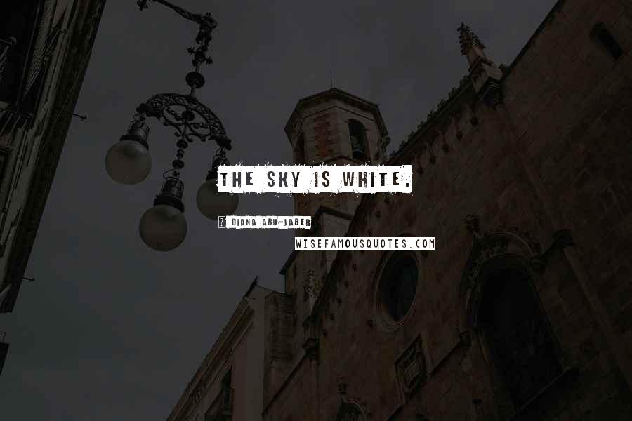 Diana Abu-Jaber quotes: The sky is white.