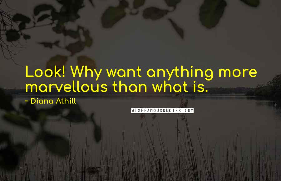 Diana Athill quotes: Look! Why want anything more marvellous than what is.