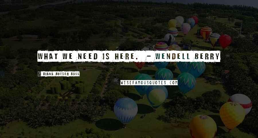 Diana Butler Bass quotes: What we need is here. - Wendell Berry