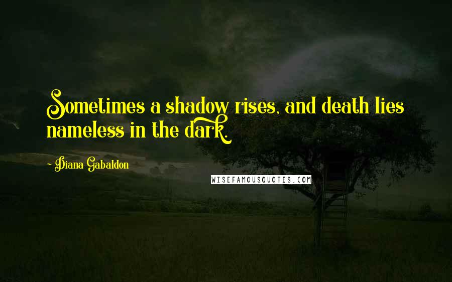 Diana Gabaldon quotes: Sometimes a shadow rises, and death lies nameless in the dark.