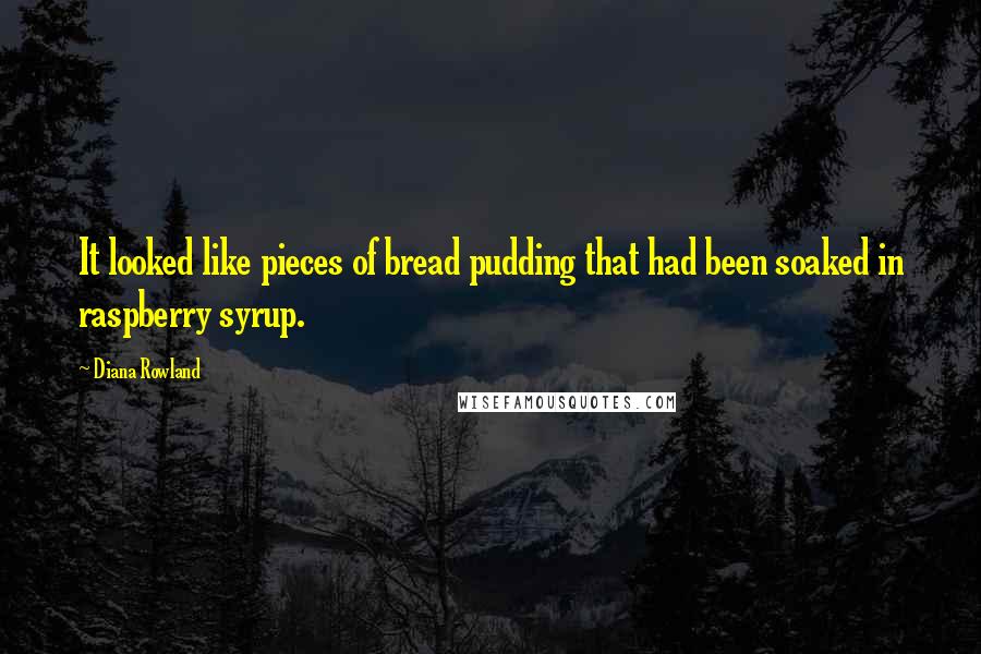 Diana Rowland quotes: It looked like pieces of bread pudding that had been soaked in raspberry syrup.