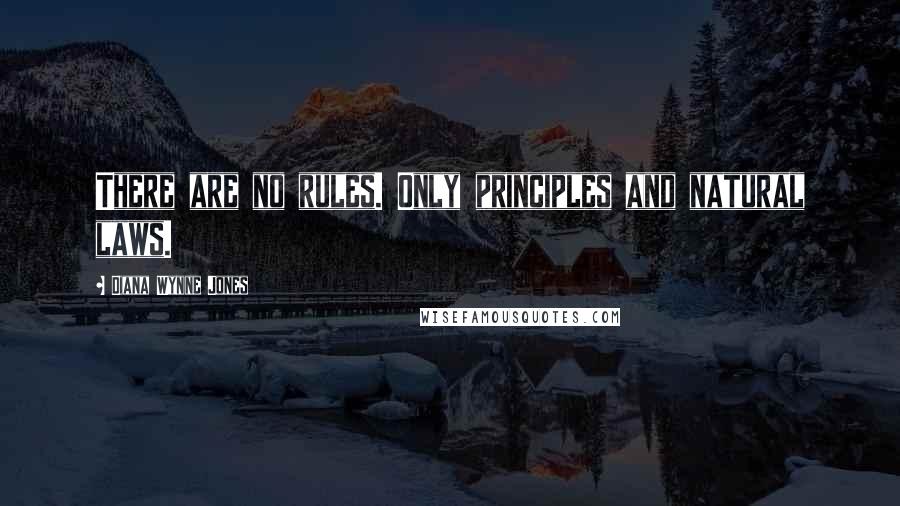 Diana Wynne Jones quotes: There are no rules. Only principles and natural laws.