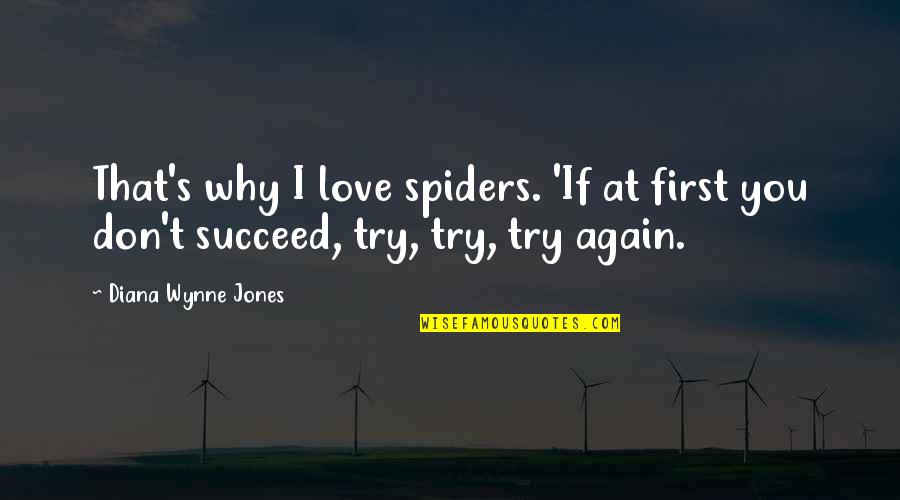 Diana Wynne Jones Quotes By Diana Wynne Jones: That's why I love spiders. 'If at first